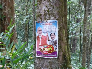 Modi poster in Jungle