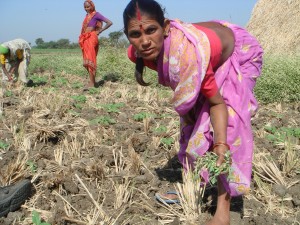 woman working in field