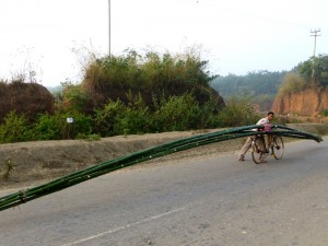 'How the heck do you balance that weight - and those incredibly long bamboos - on a bicycle that is barely five feet in length?'