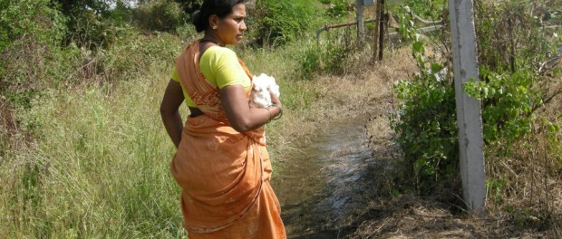 Farmer suicide widow walking on rural path